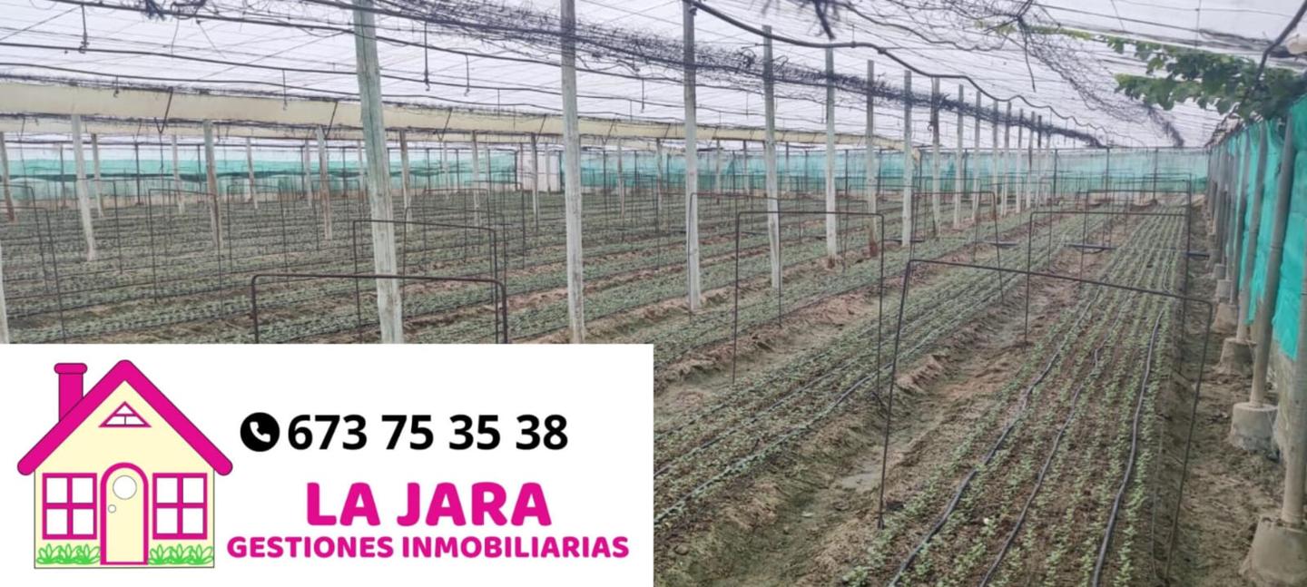 Terreno en venta en Cádiz