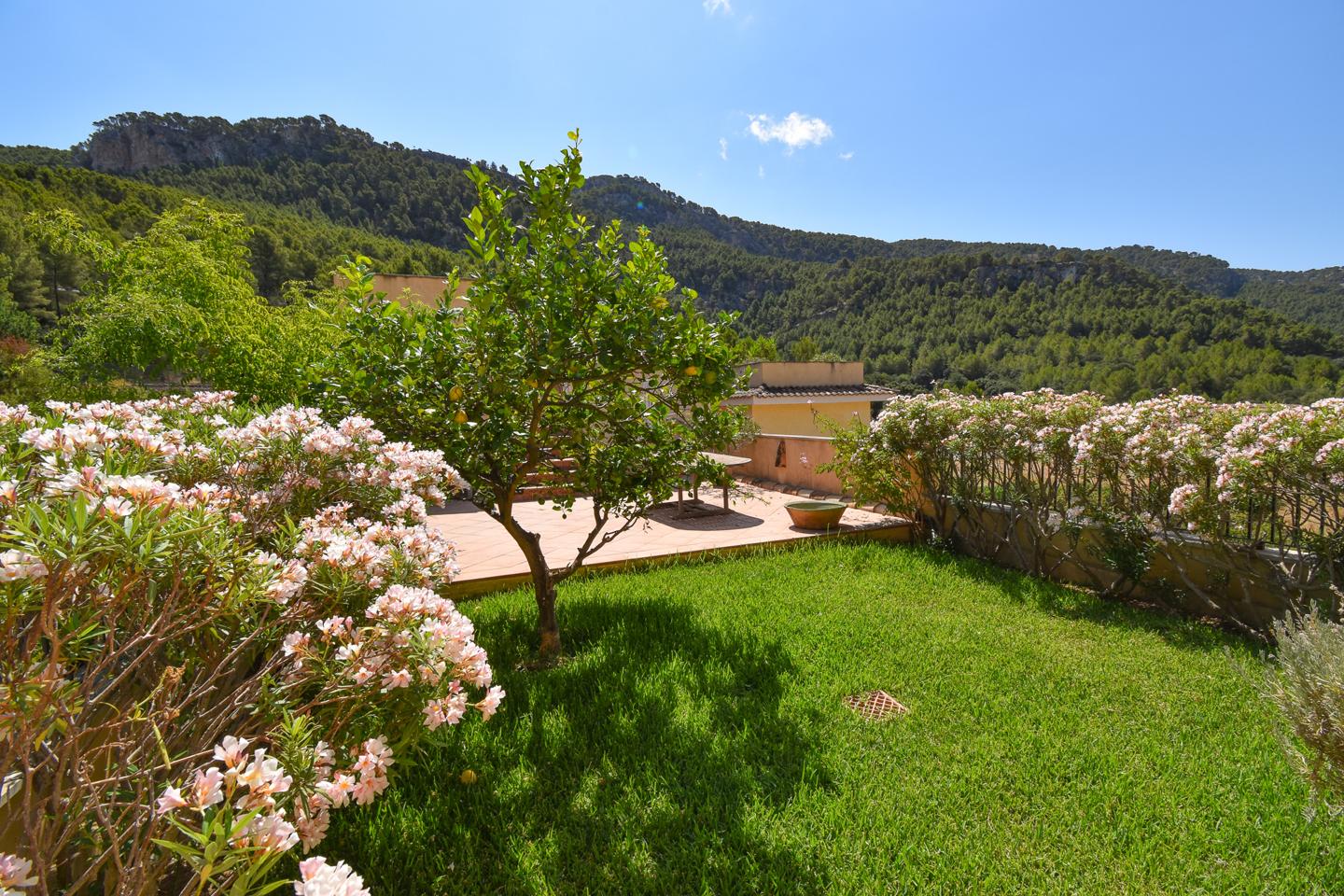 Mansión con varios Apartamentos y Piscinas — Andratx