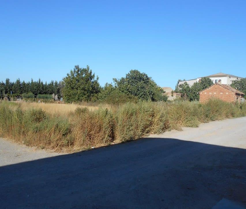Terreno en venta en Lleida