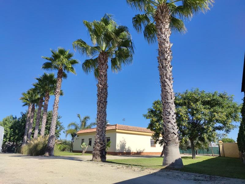 Casa de campo en venta en Cádiz