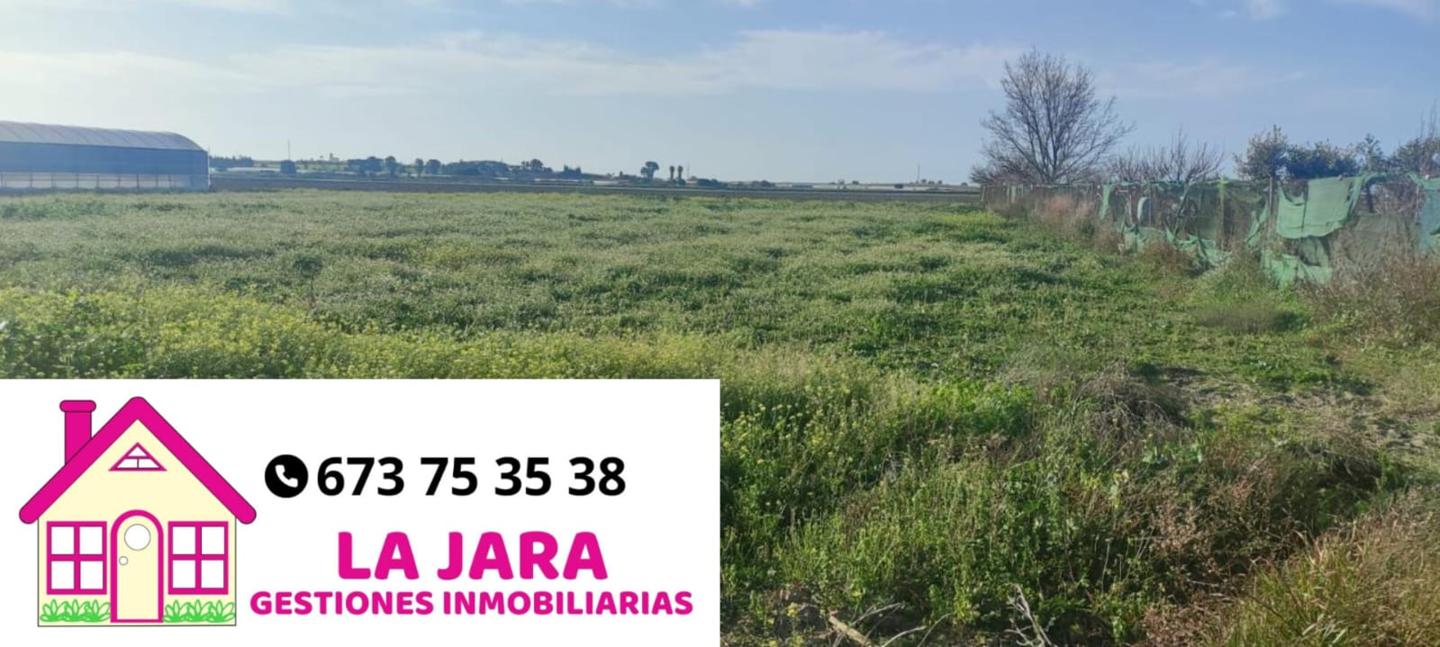 Terreno en venta en Cádiz