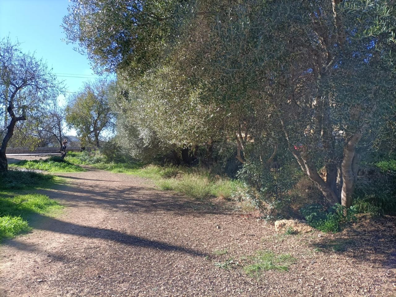 Solar urbano en la zona de Andratx — Andratx