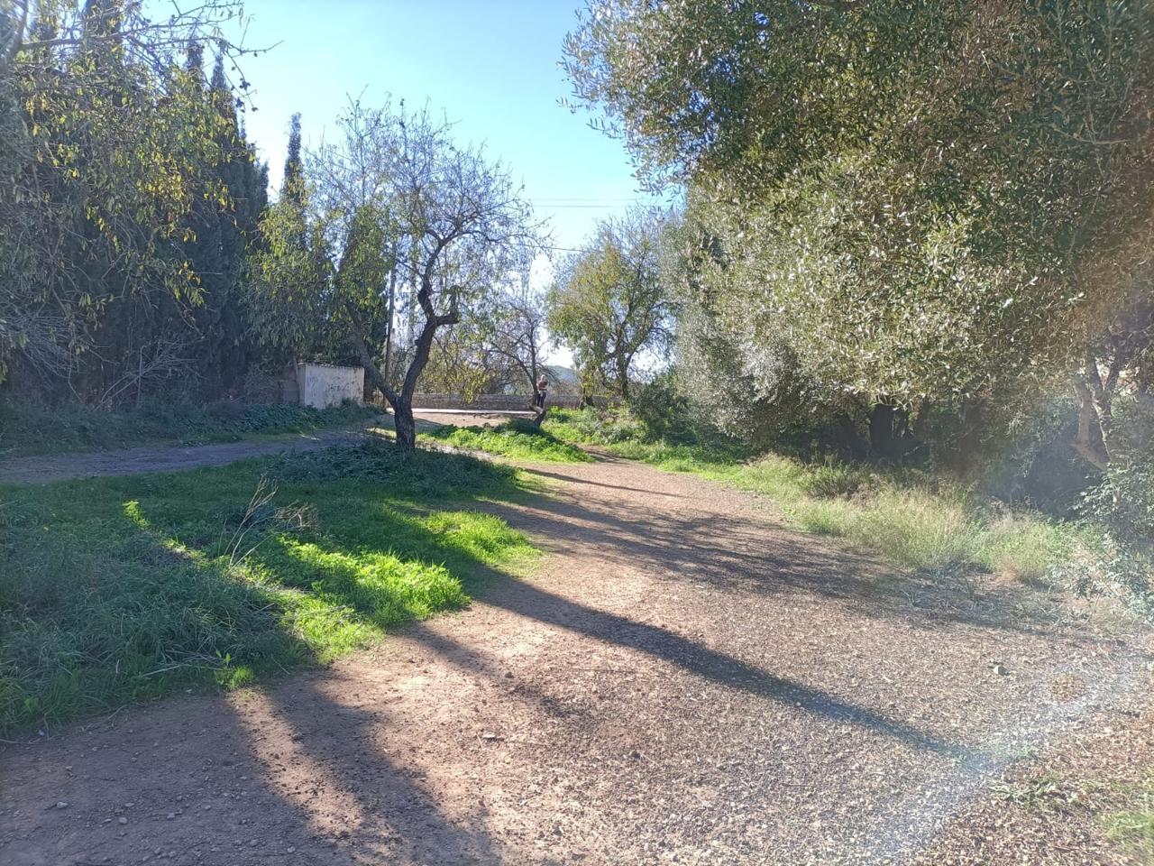 Solar urbano en la zona de Andratx — Andratx — Foto 5