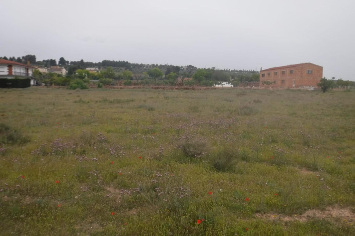 Terreno en venta en Lleida