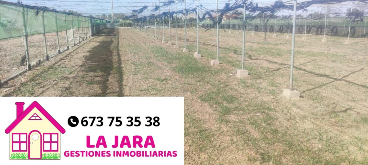 Terreno en venta en Cádiz