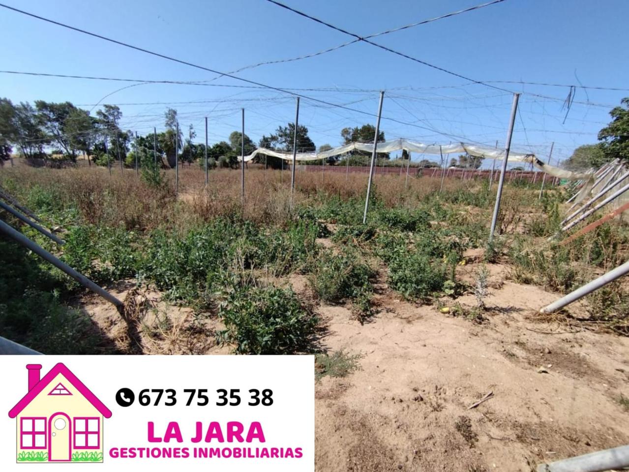 Terreno en venta en Cádiz