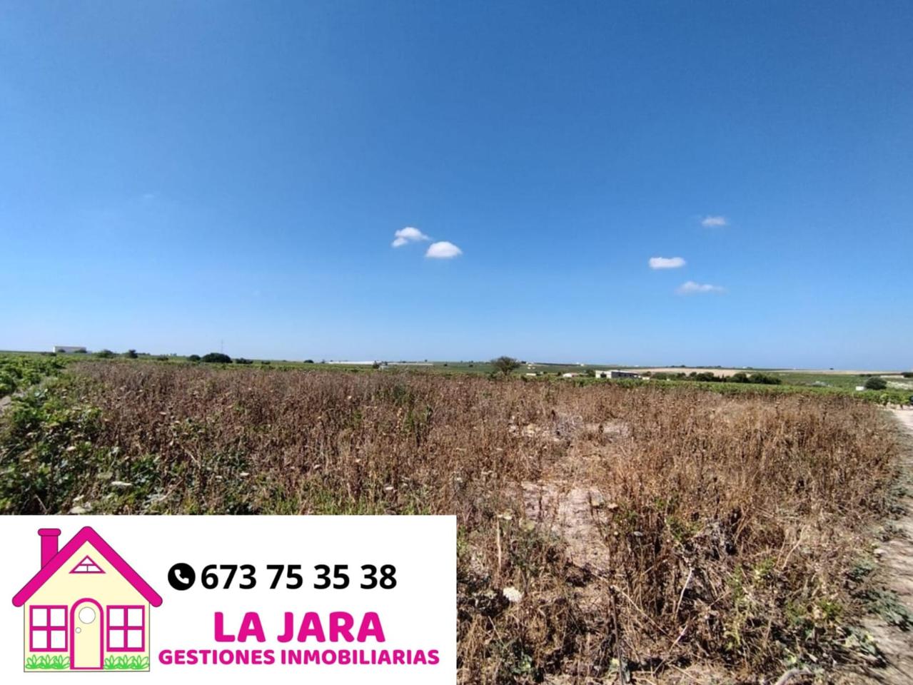 Terreno en venta en Cádiz