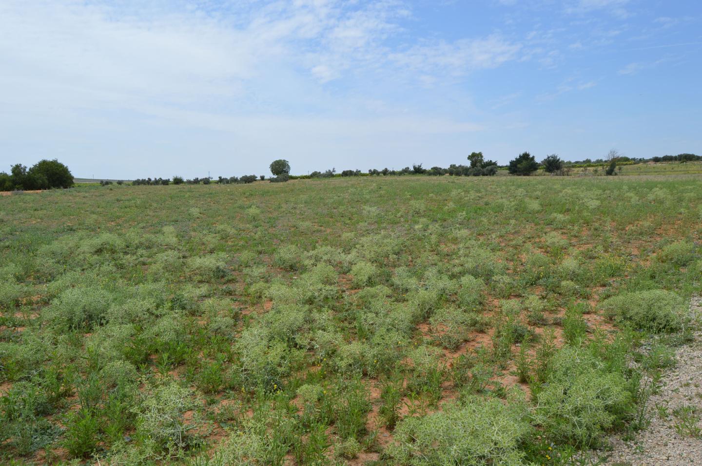 Terreno en venta en Cuenca