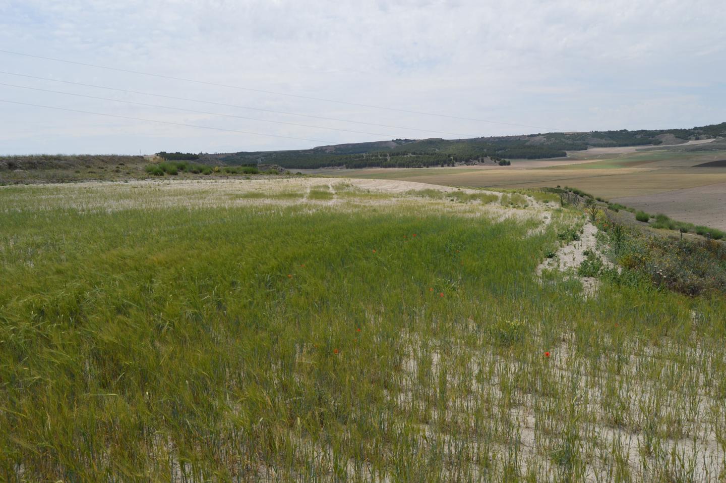 Terreno en venta en Cuenca