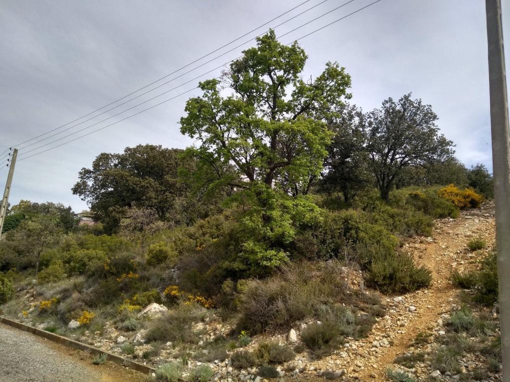 Terreno en venta en Lleida