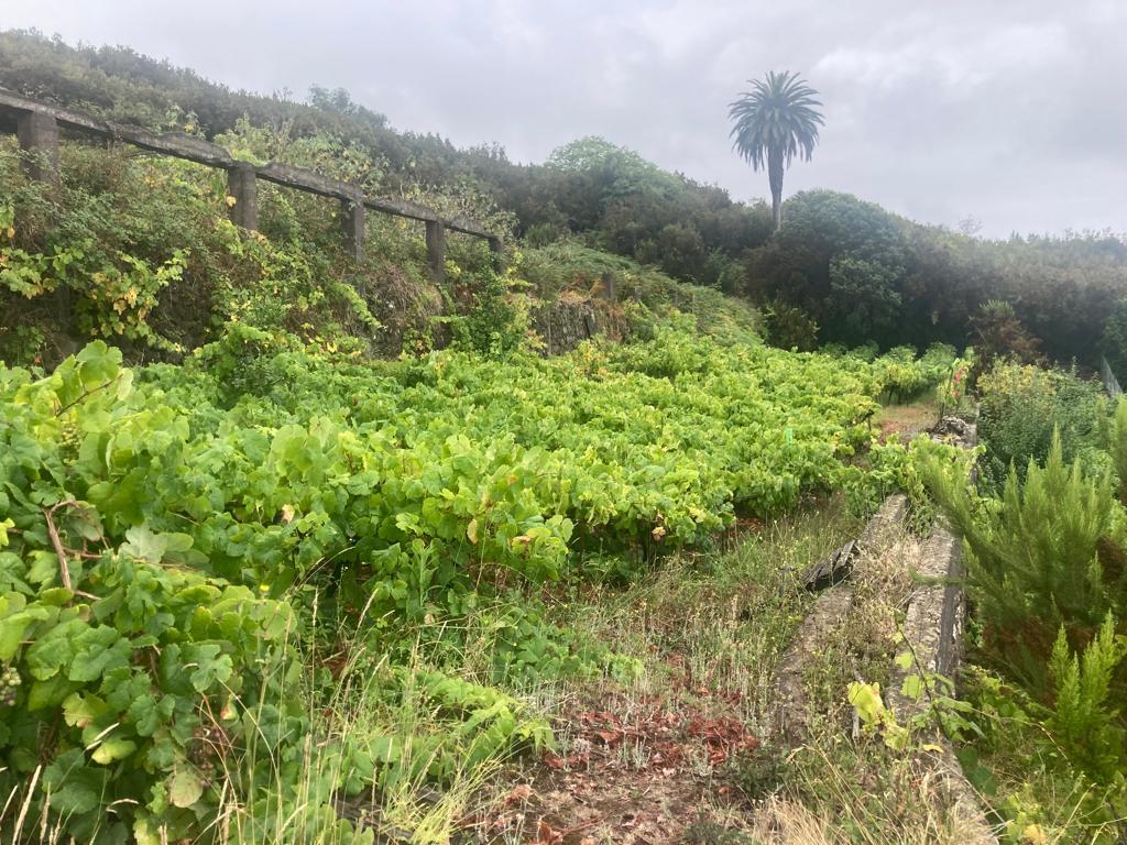 Terreno en venta en Santa Cruz de Tenerife