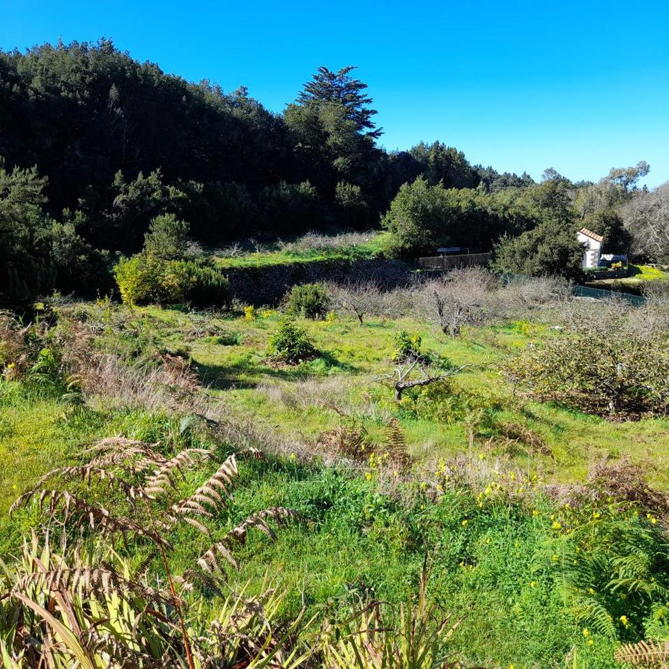 Terreno en venta en Santa Cruz de Tenerife
