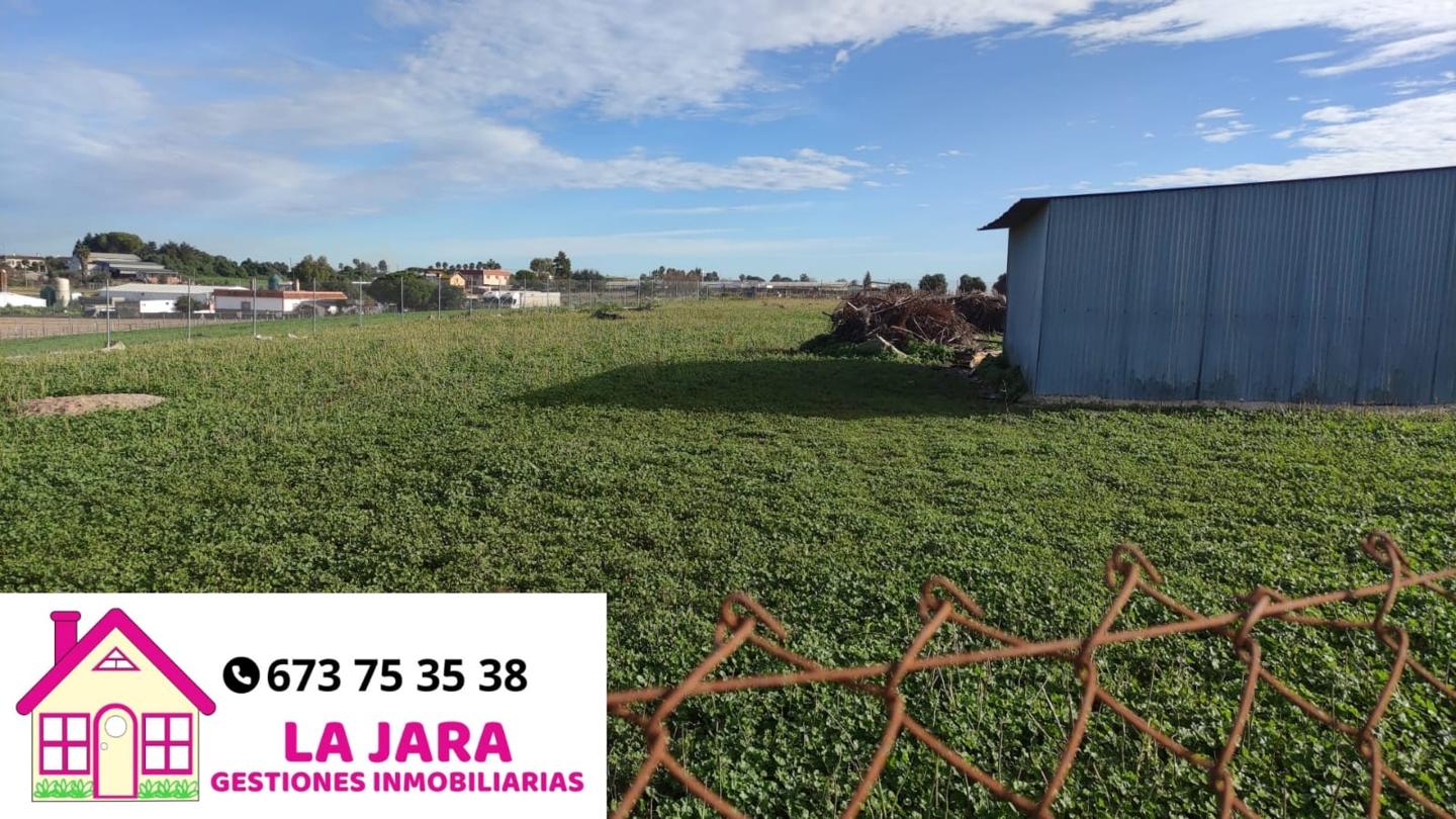 Terreno en venta en Cádiz