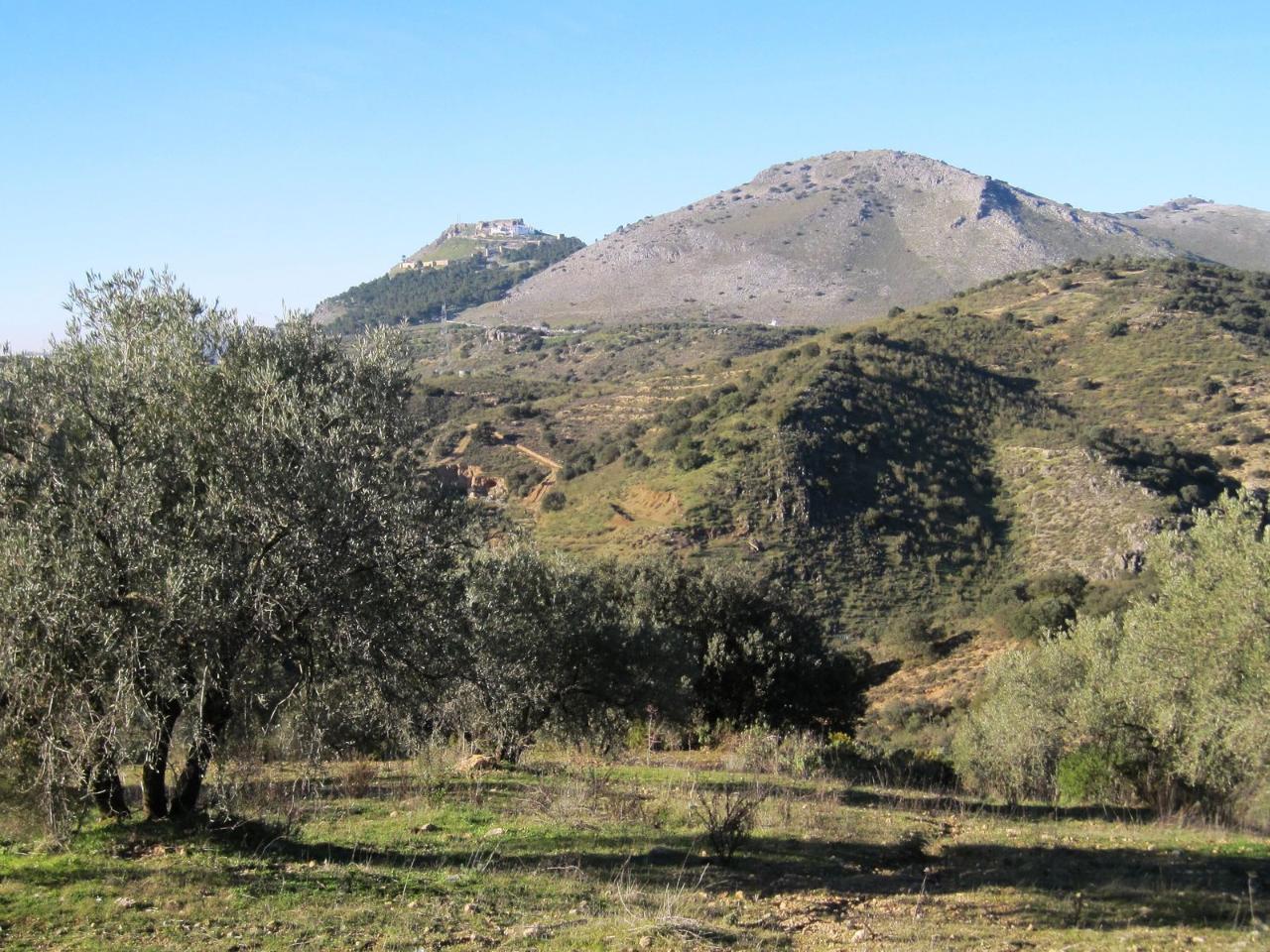 foto de TERRENO RÚSTICO EN ARCHIDONA, MÁLAGA