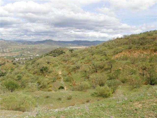 foto de FINCA RÚSTICA EN ARROYO LA DEHESILLA, ÁLORA