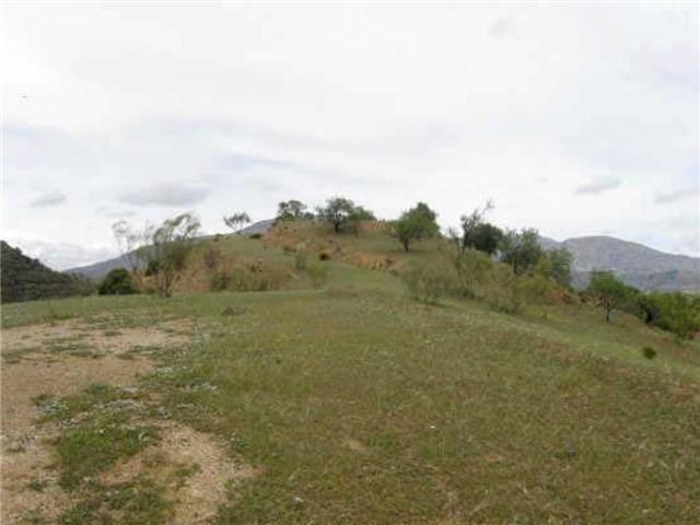 imagen propiedad
