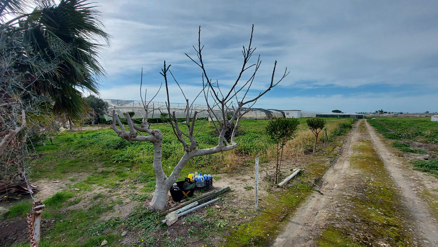 Terreno en venta en Cádiz