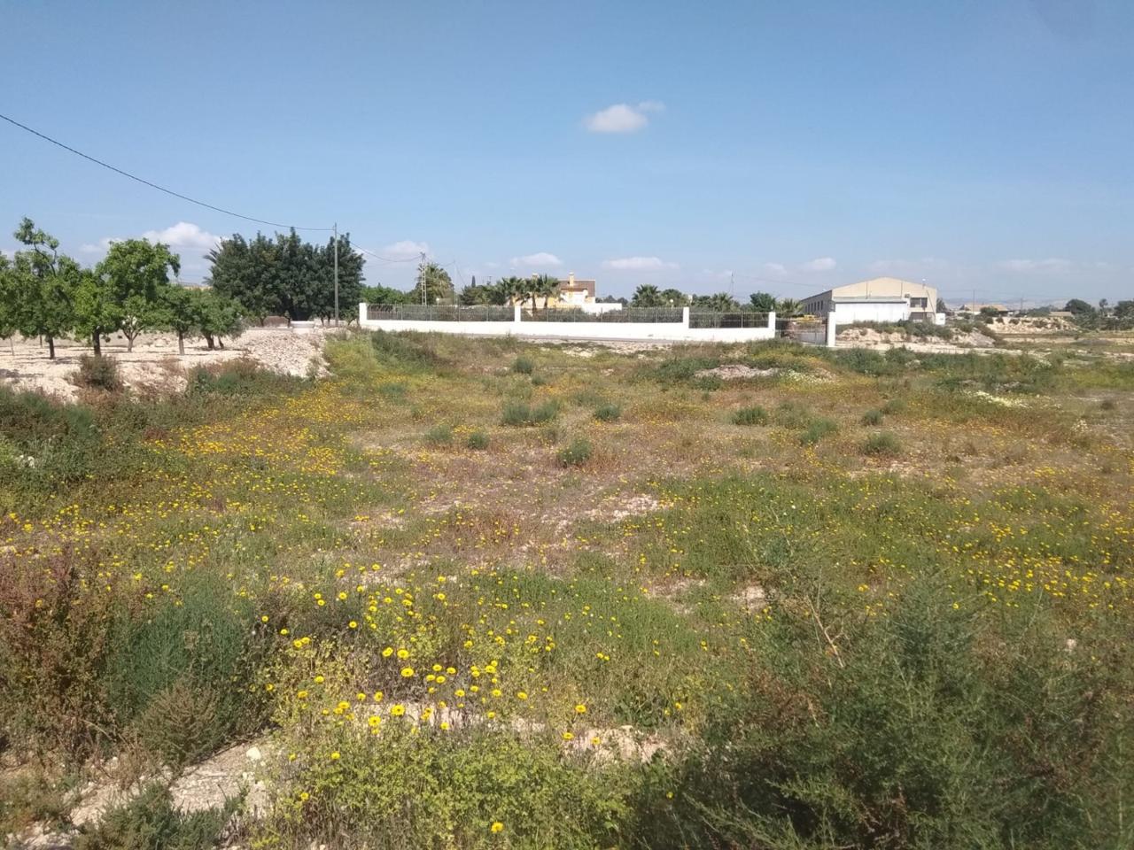 Terreno en venta en Alicante