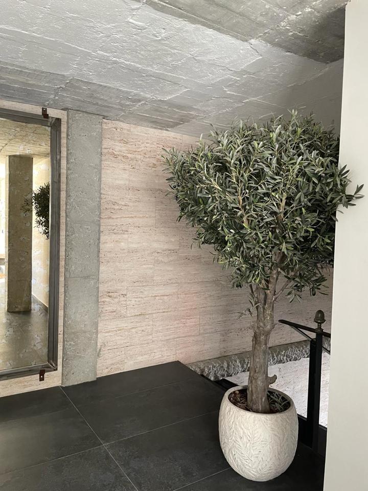 Galería 19