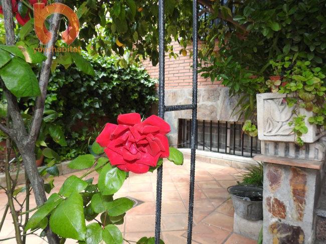Chalet en venta en Madrid