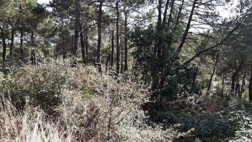 Terreno en venta en Sevilla
