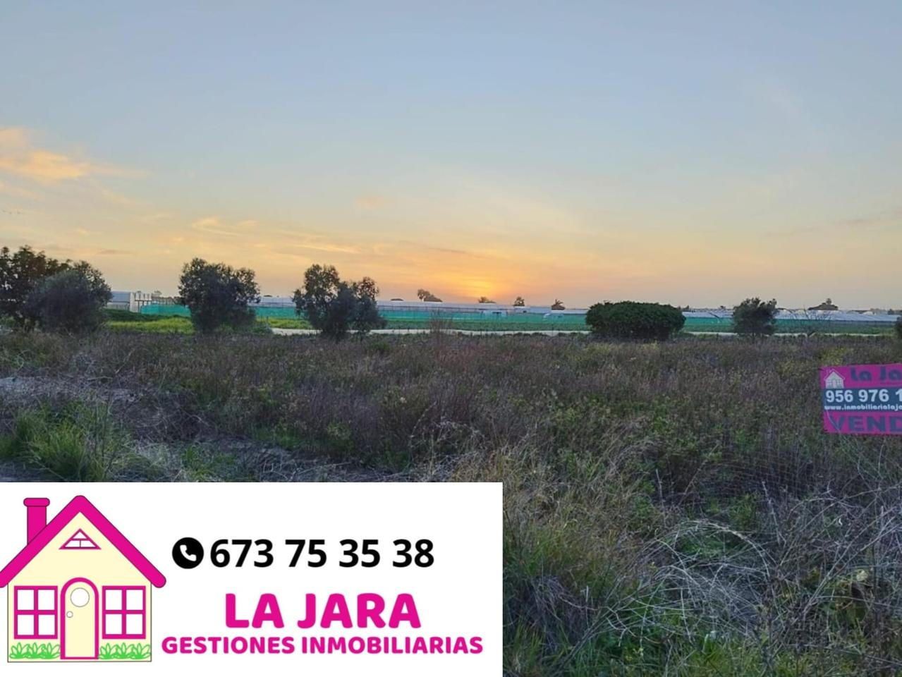 Terreno en venta en Cádiz