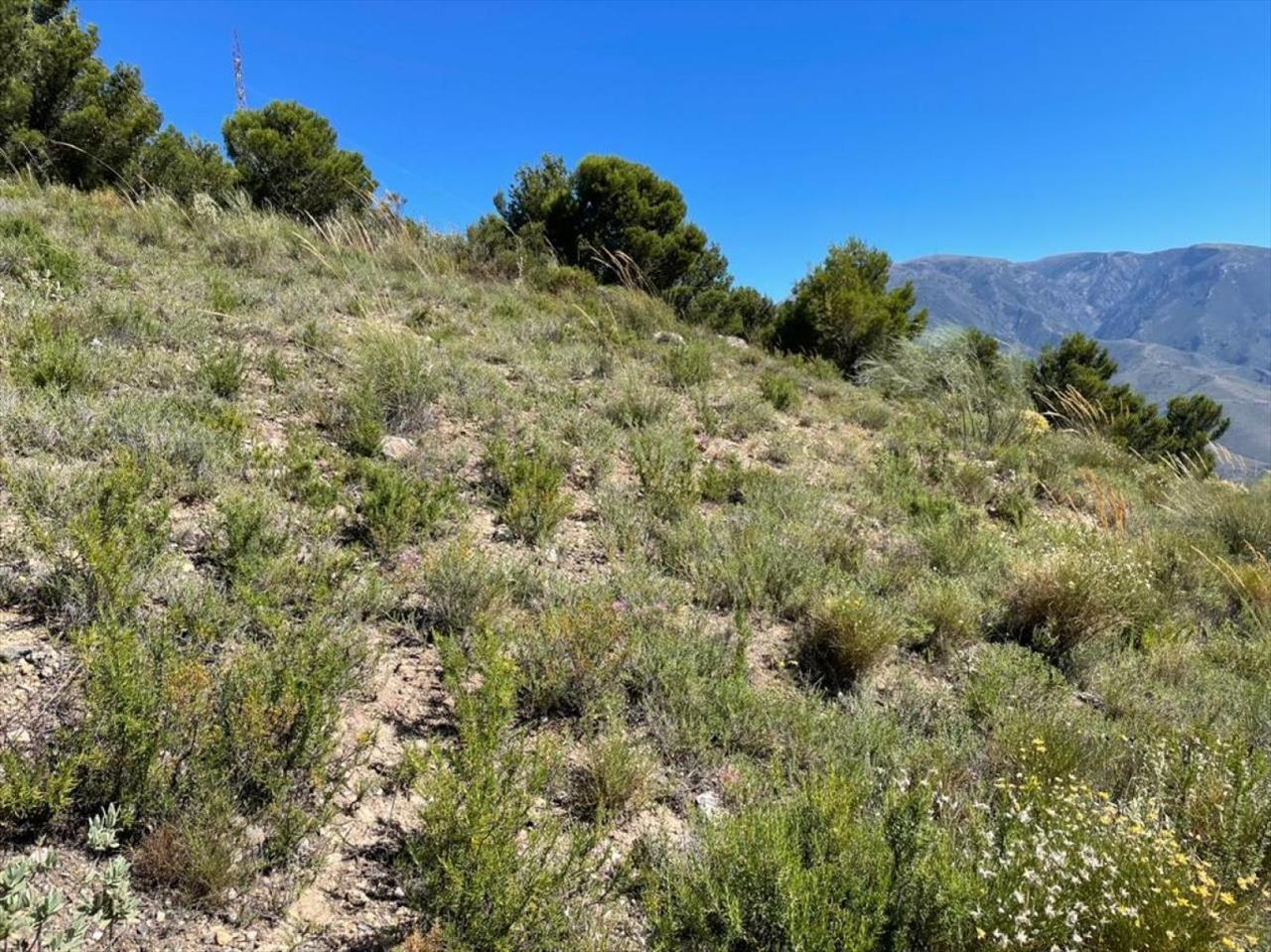Terreno en venta en Jaén