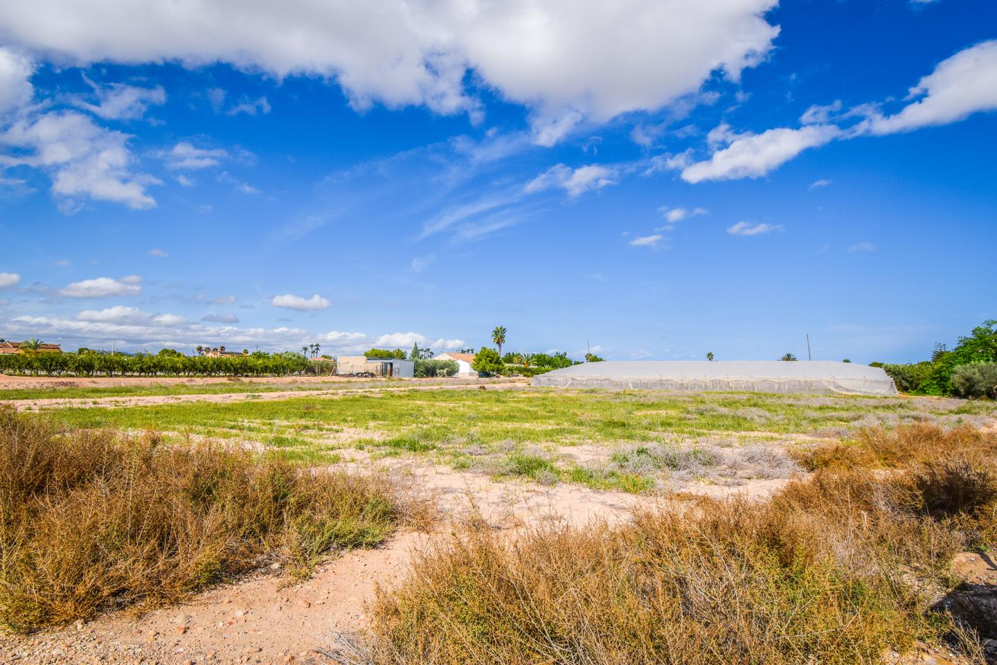 Terreno en venta en Alicante