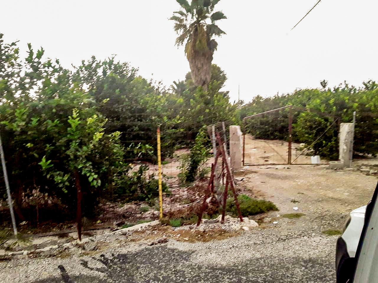 Terreno en venta en Alicante