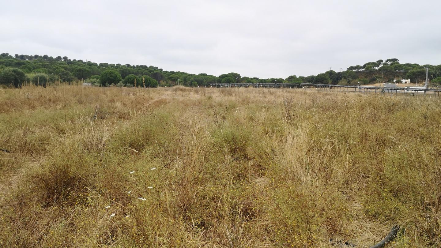 Terreno en venta en Huelva