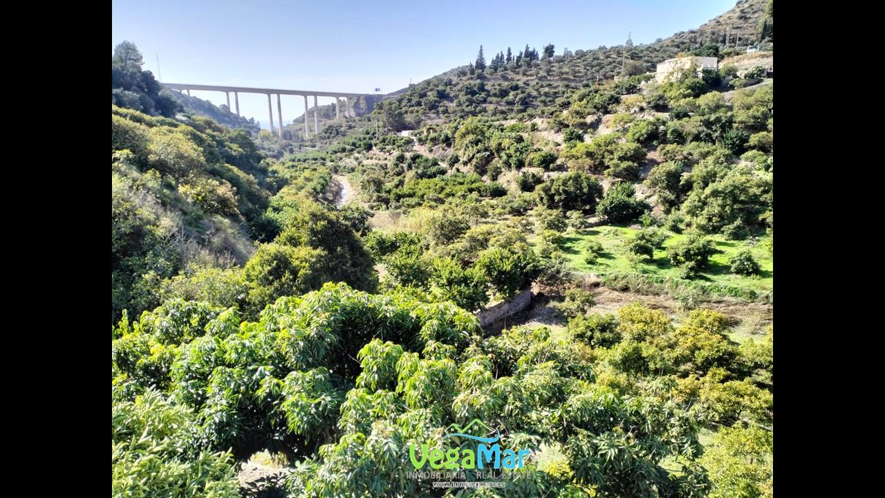 Casa de campo en venta en Granada