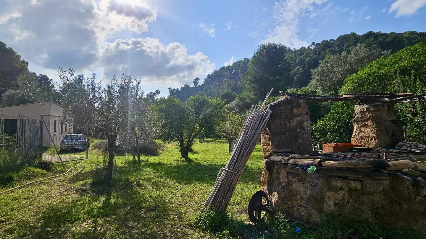Terrenos con edificación, árboles frutales y noria centenaria en S'Arracó — S'Arracó — Foto 12
