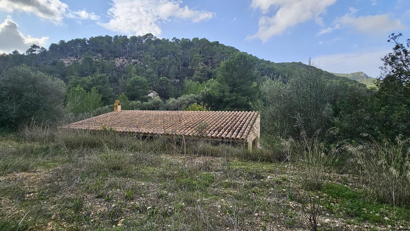 Terrenos con edificación, árboles frutales y noria centenaria en S'Arracó — S'Arracó — Foto 15