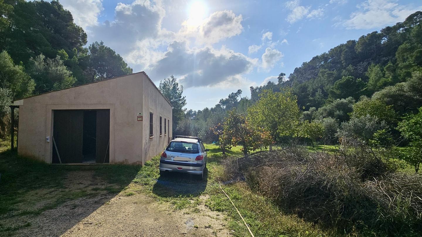 Terrenos con edificación, árboles frutales y noria centenaria en S'Arracó — S'Arracó — Foto 3