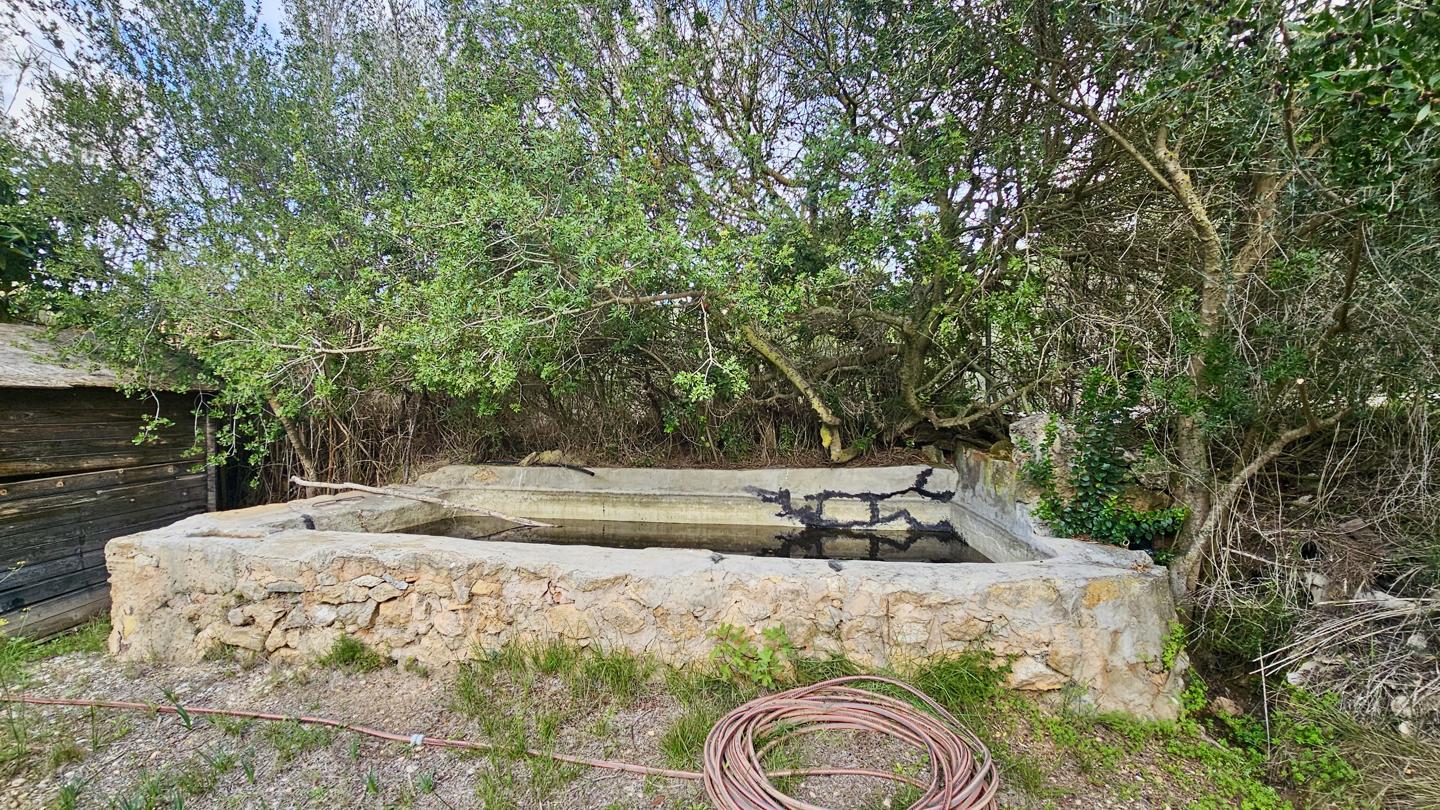 Terrenos con edificación, árboles frutales y noria centenaria en S'Arracó — S'Arracó — Foto 13