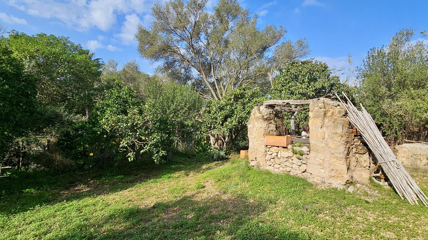 Terrenos con edificación, árboles frutales y noria centenaria en S'Arracó — S'Arracó — Foto 11