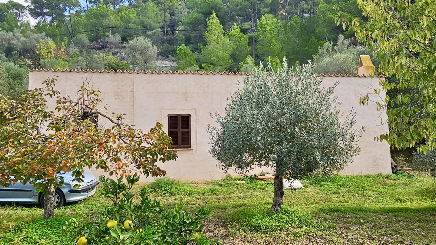 Terrenos con edificación, árboles frutales y noria centenaria en S'Arracó — S'Arracó — Foto 4