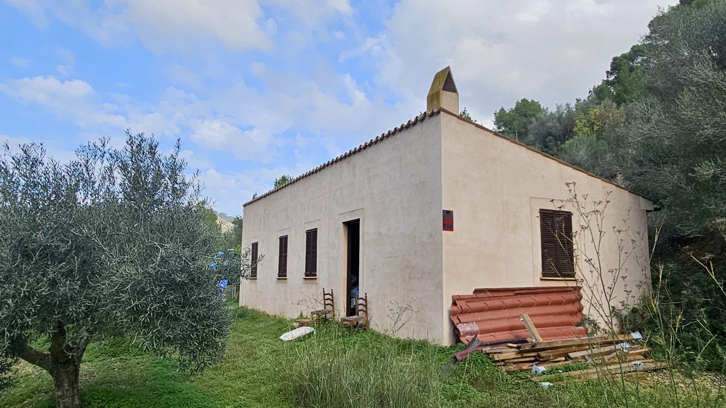 Terrenos con edificación, árboles frutales y noria centenaria en S'Arracó — S'Arracó — Foto 5