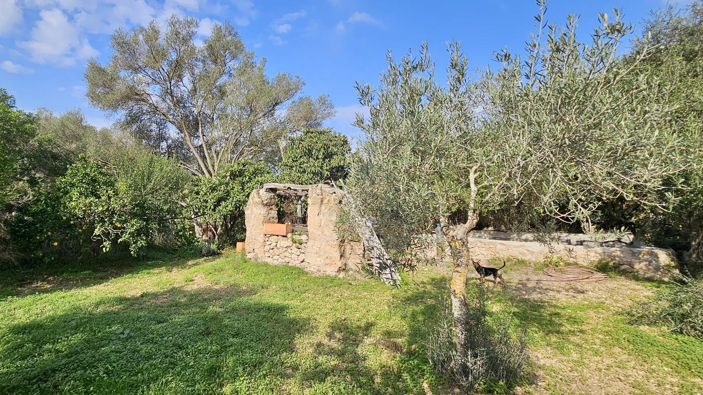 Terrenos con edificación, árboles frutales y noria centenaria en S'Arracó — S'Arracó