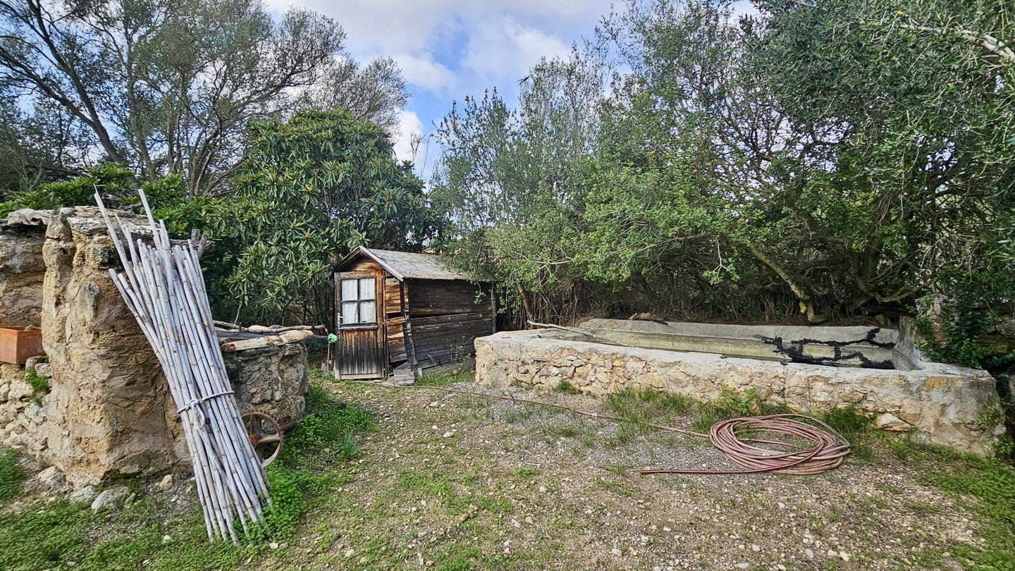 Terrenos con edificación, árboles frutales y noria centenaria en S'Arracó — S'Arracó — Foto 14