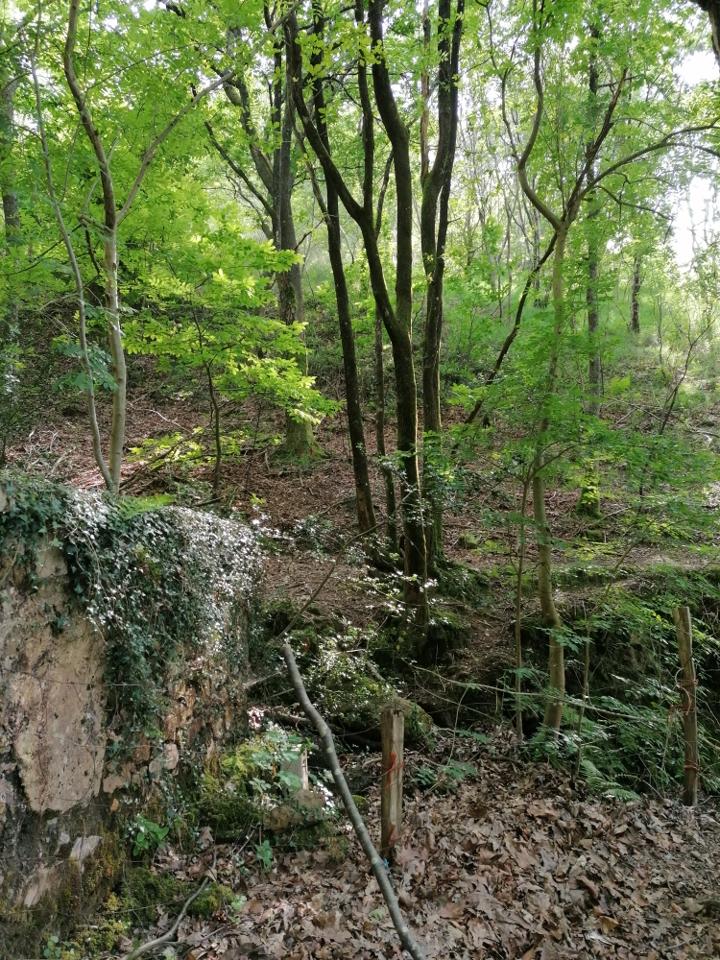 Terreno en venta en Guipúzcoa