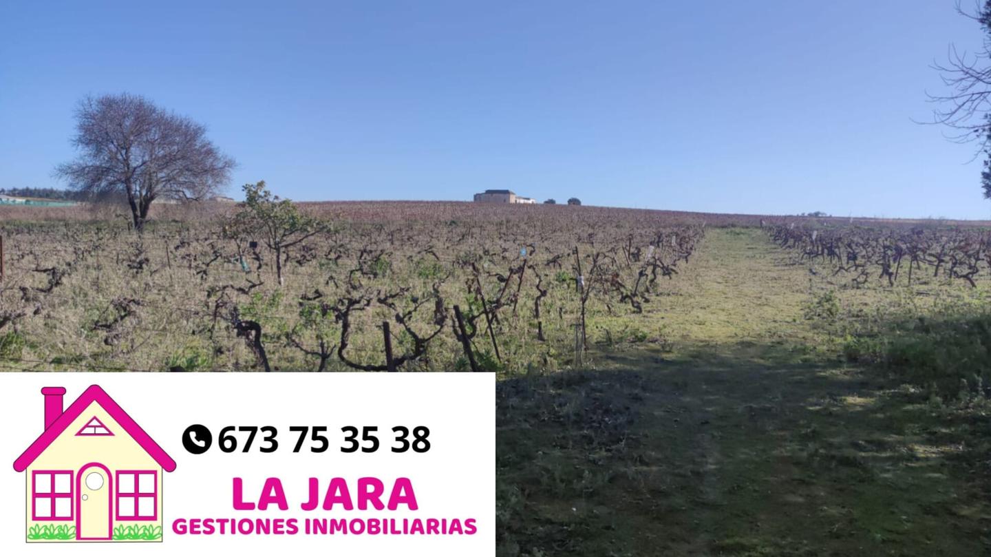 Terreno en venta en Cádiz