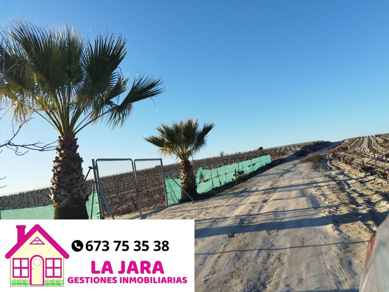 Terreno en venta en Cádiz