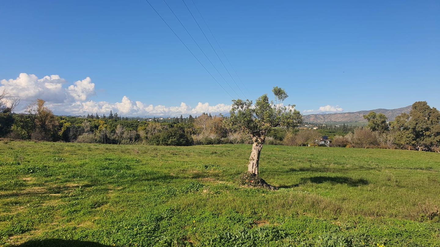 Galería 3