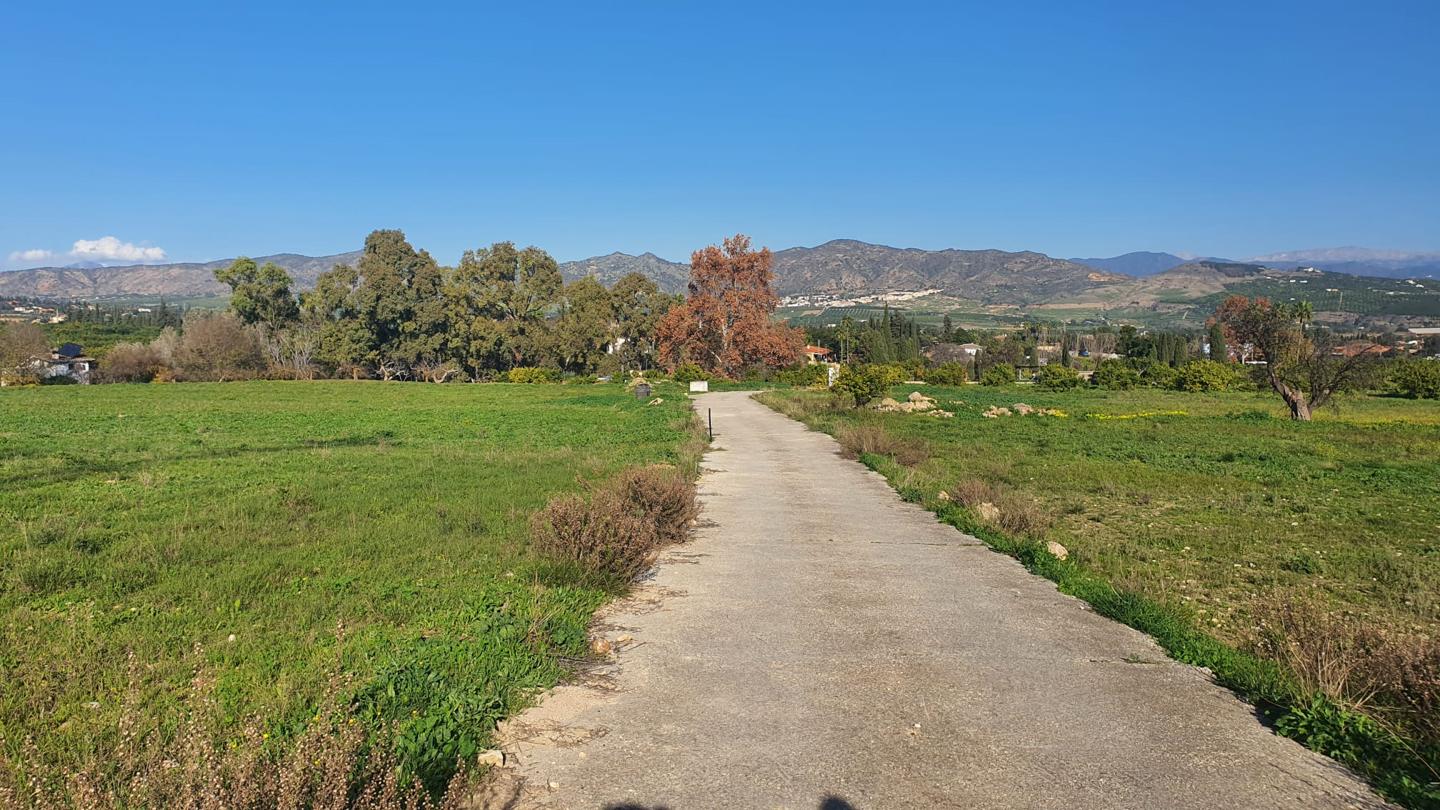 Galería 14