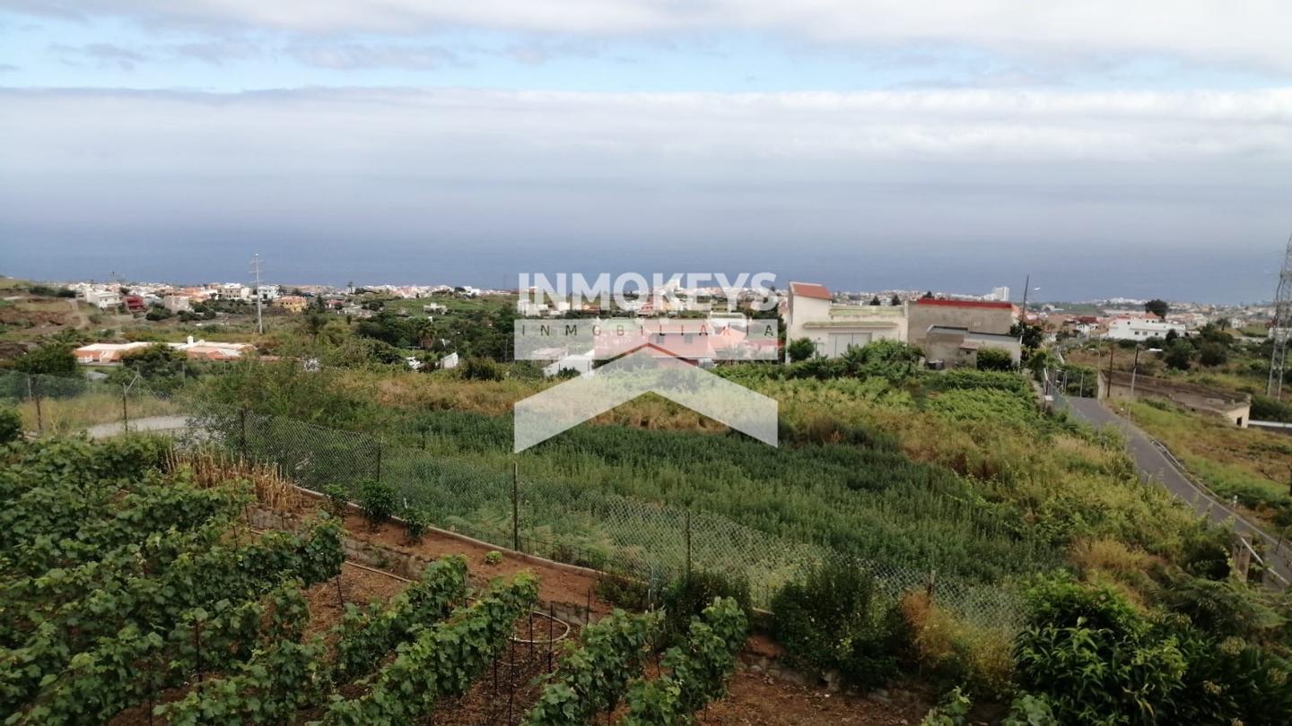 Casa / chalet en Camino La Piñera, Los Realejos, Santa Cruz de Tenerife de 1300 m2