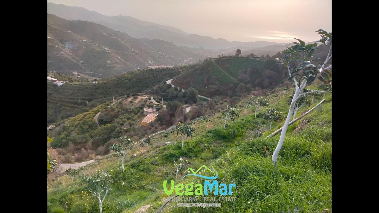 Terreno en venta en Granada