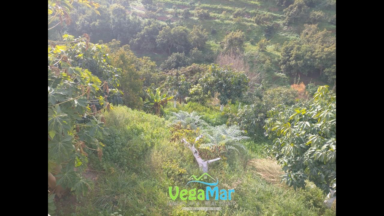 Terreno en venta en Granada