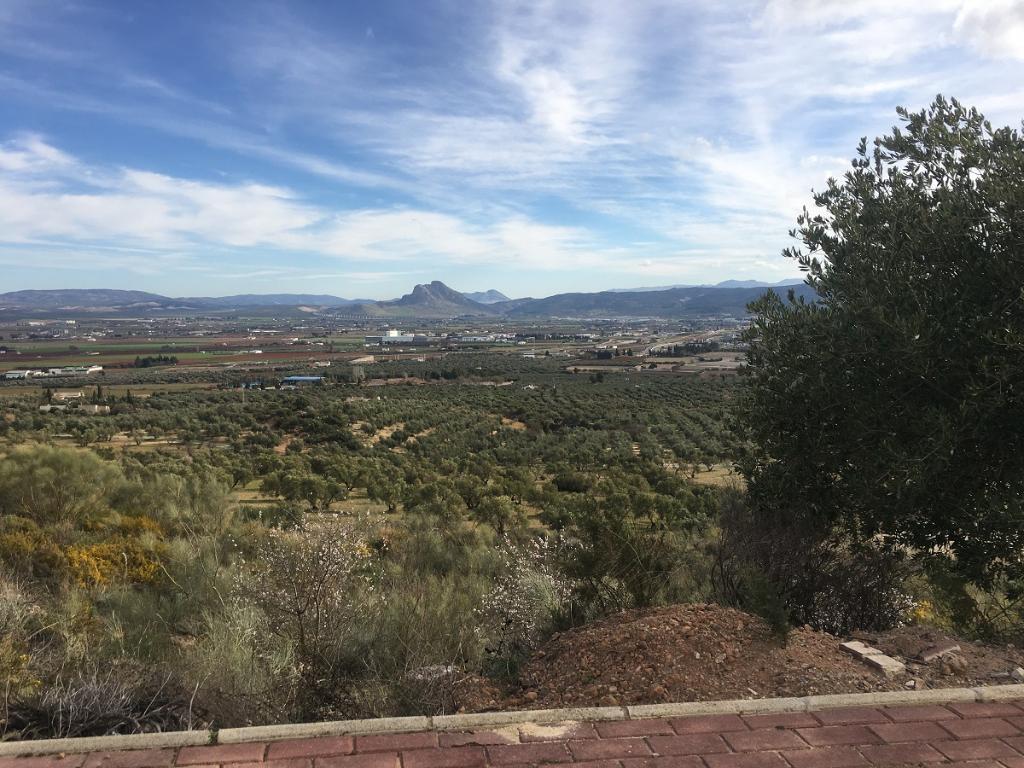 foto de PARCELA URBANA EN URB. ANTEQUERA GOLF