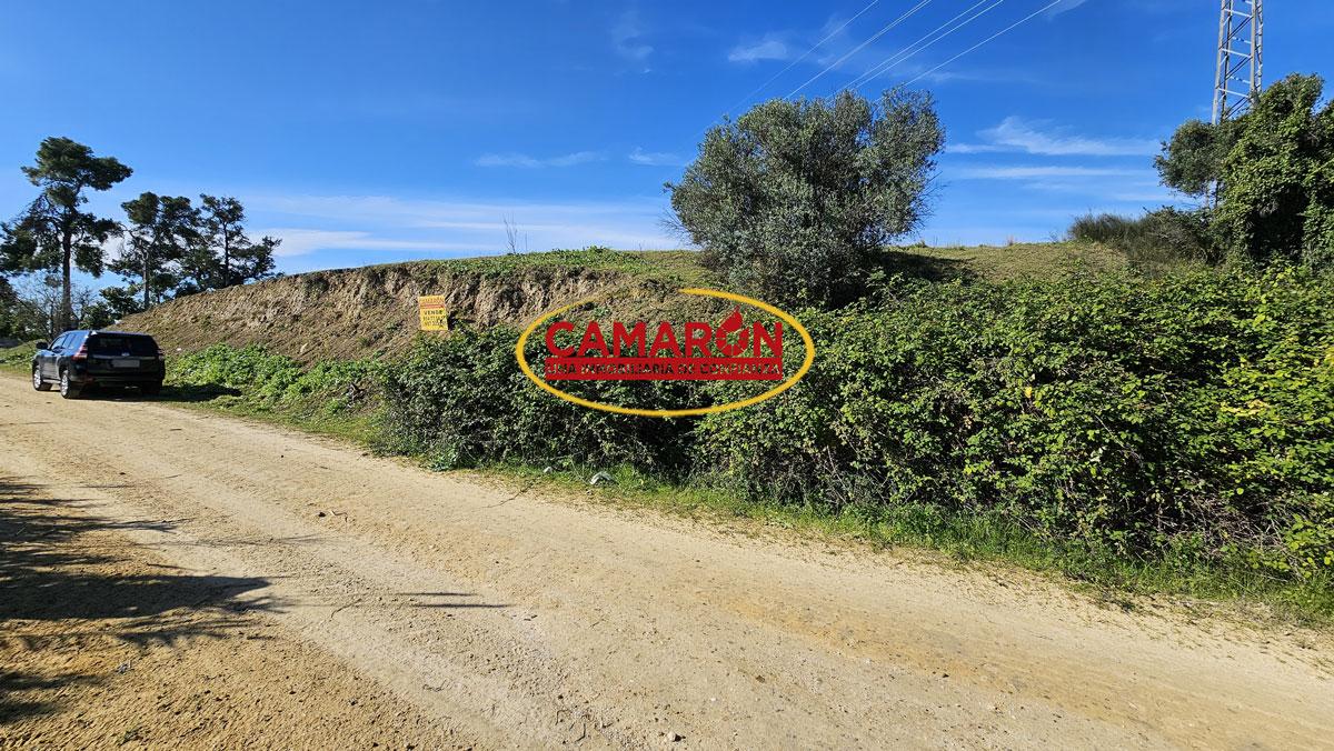 Terreno en venta en Palomares del Río de 18500 m2 REF:03862
